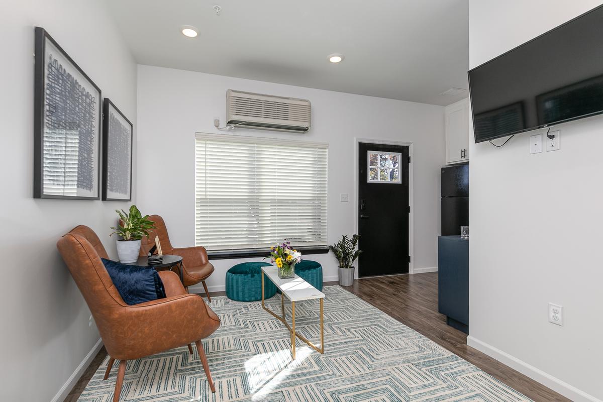 Furnished living room: two tan leather chairs, teal ottomans, patterned rug, wall-mounted television, window unit