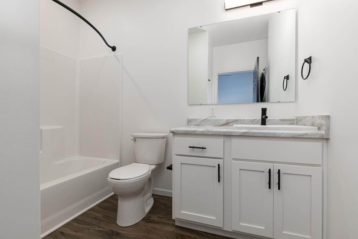 Vacant bathroom: tub and shower, toilet, white vanity, mirror